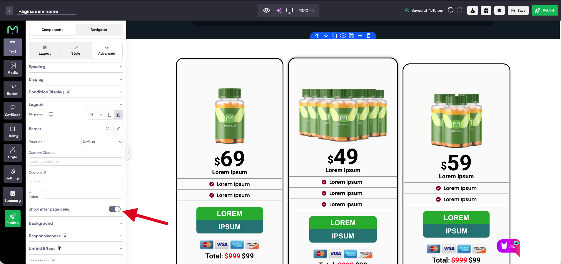 Element delay setting showing the Show after page delay toggle in Atomicat Builder