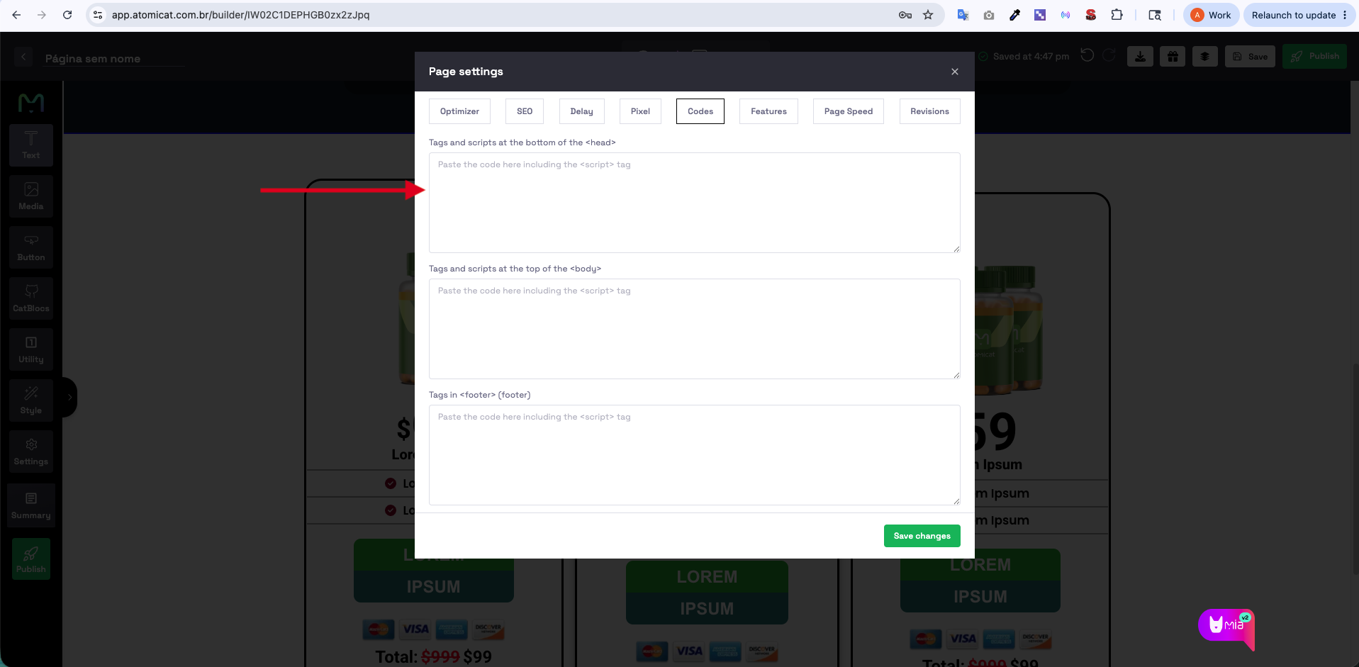 Codes tab in Atomicat page settings showing the head script field for tracking pixels